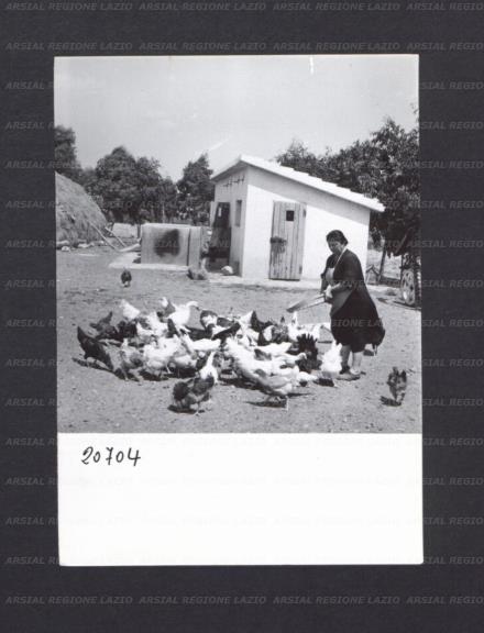 ARSIAL/ARS0017682C.jpg