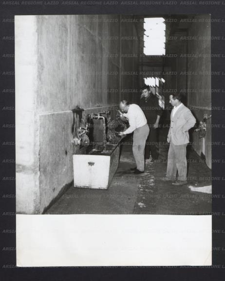 ARSIAL/ARS001768ED.jpg