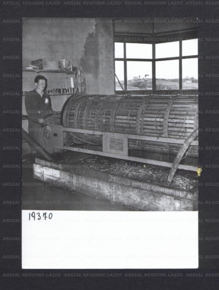 ARSIAL/ARS001768EE.jpg