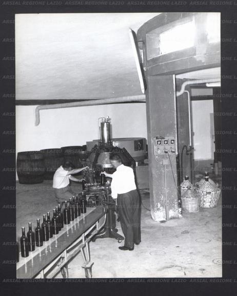 ARSIAL/ARS001768EF.jpg