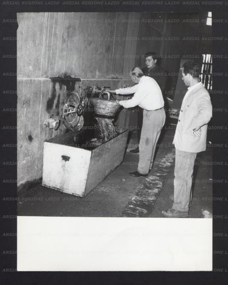 ARSIAL/ARS001768F1.jpg