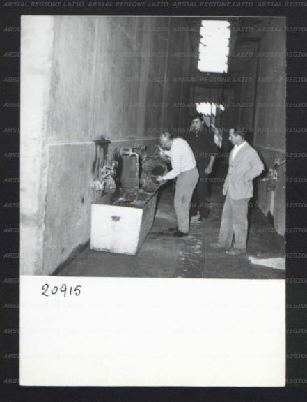 ARSIAL/ARS001768F6.jpg