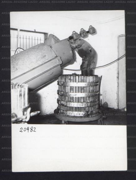 ARSIAL/ARS001768F8.jpg
