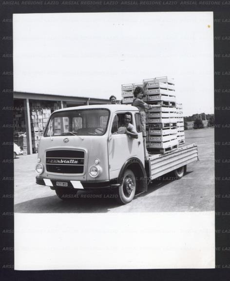 ARSIAL/ARS001768F9.jpg