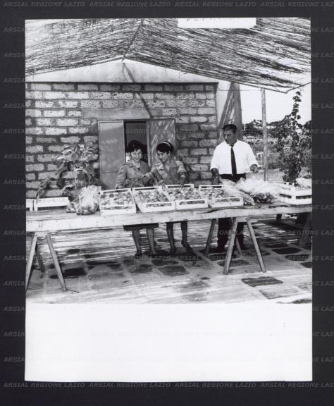 ARSIAL/ARS001768FC.jpg