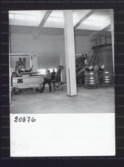ARSIAL/ARS001768FE.jpg