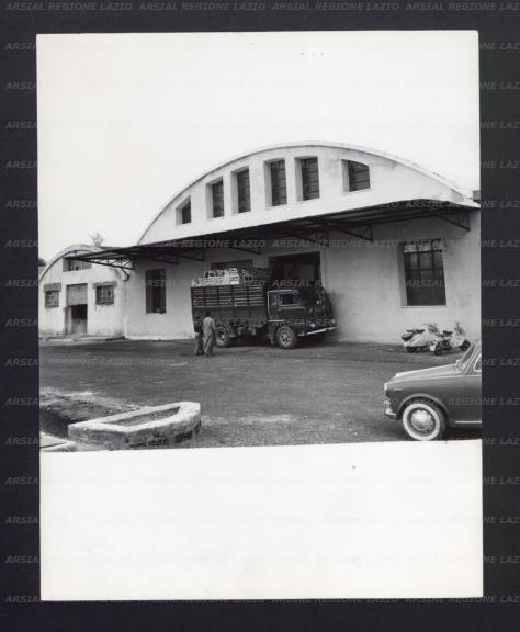 ARSIAL/ARS001768FF.jpg