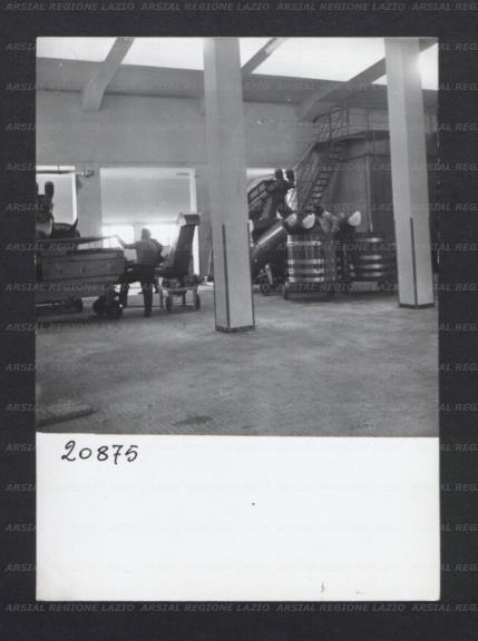 ARSIAL/ARS00176900.jpg
