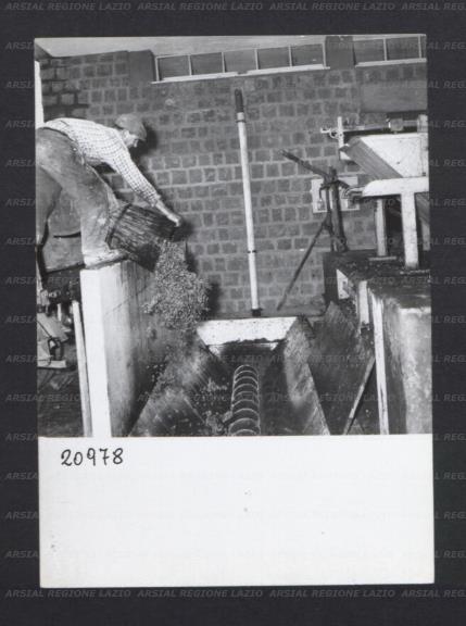 ARSIAL/ARS00176901.jpg