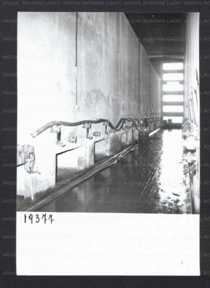ARSIAL/ARS00176903.jpg