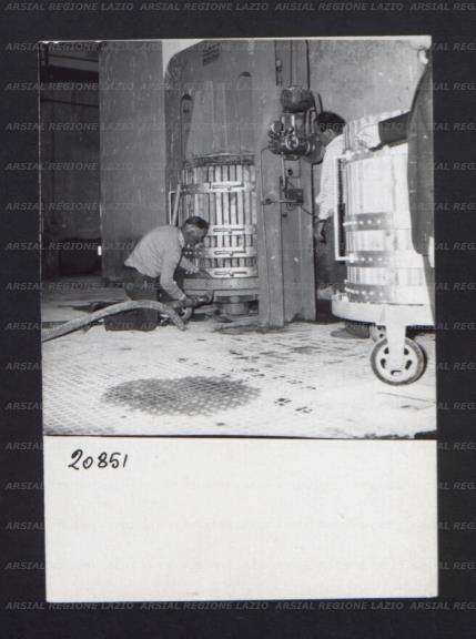 ARSIAL/ARS00176909.jpg