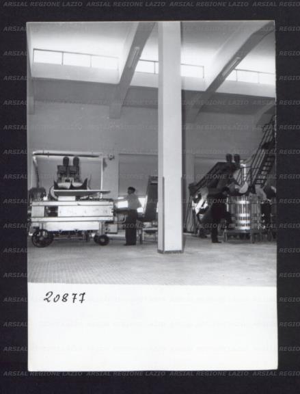 ARSIAL/ARS0017690D.jpg