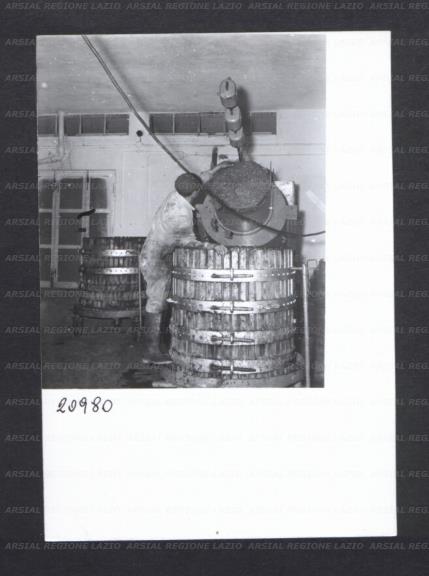 ARSIAL/ARS00176910.jpg