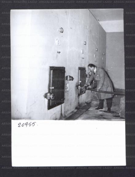 ARSIAL/ARS00176912.jpg