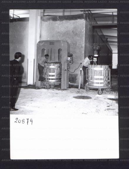 ARSIAL/ARS00176914.jpg