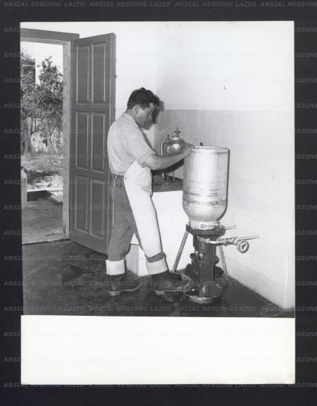 ARSIAL/ARS00176915.jpg