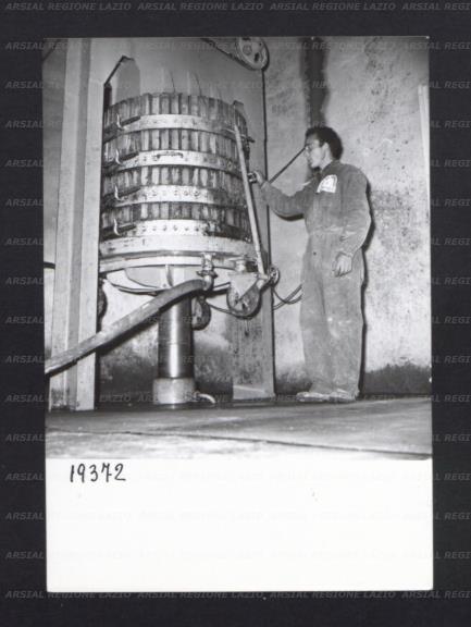 ARSIAL/ARS00176919.jpg