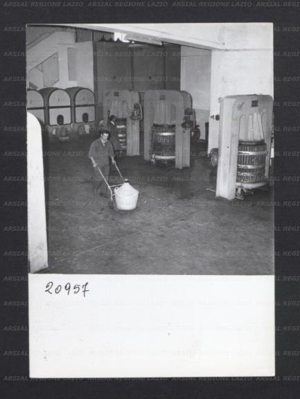 ARSIAL/ARS0017691E.jpg