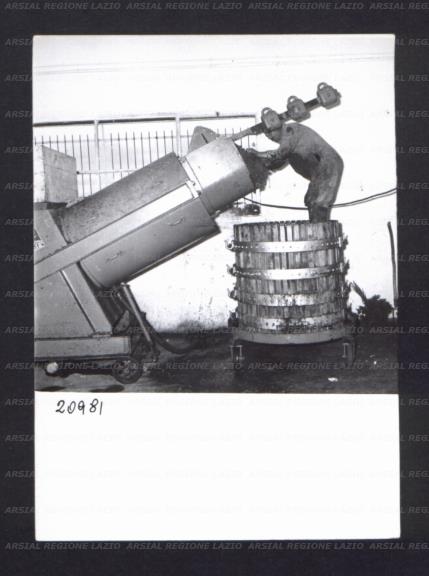 ARSIAL/ARS00176921.jpg