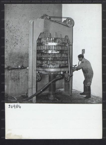 ARSIAL/ARS00176925.jpg