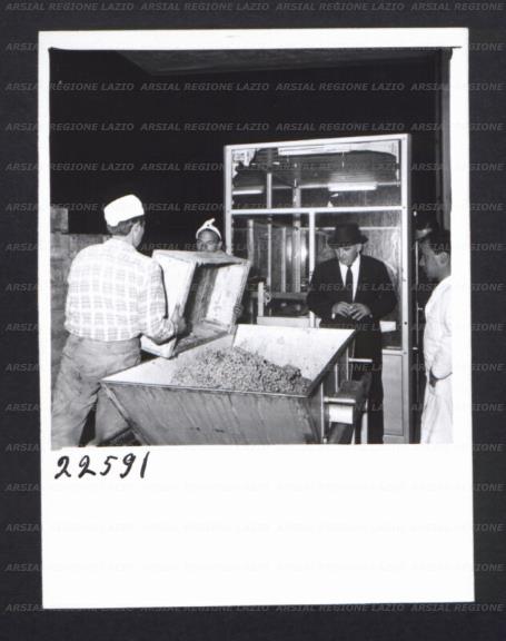 ARSIAL/ARS00176926.jpg