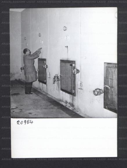 ARSIAL/ARS00176929.jpg