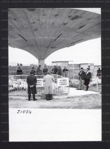 ARSIAL/ARS00176947.jpg