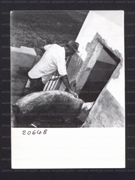 ARSIAL/ARS0017694C.jpg