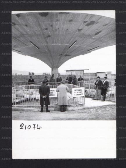 ARSIAL/ARS0017694E.jpg