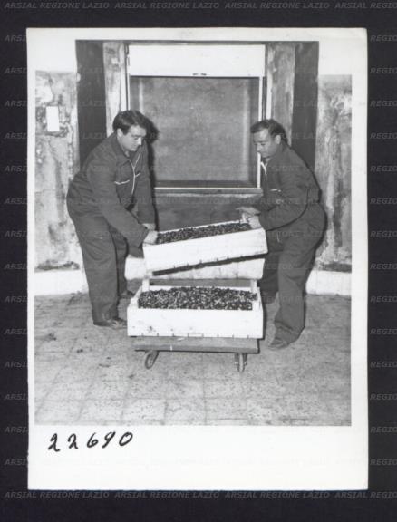 ARSIAL/ARS00176951.jpg