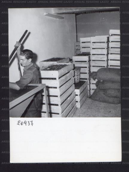 ARSIAL/ARS0017695B.jpg