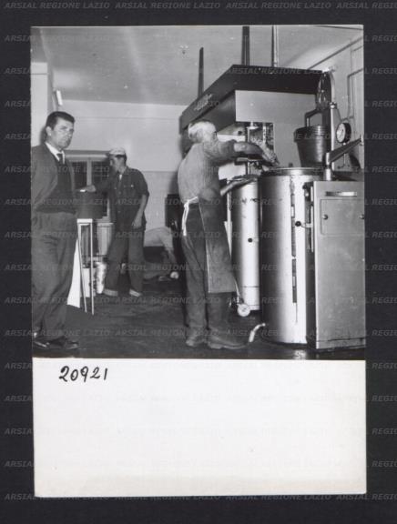 ARSIAL/ARS00176962.jpg