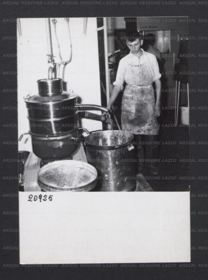 ARSIAL/ARS00176974.jpg