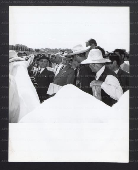 ARSIAL/ARS001769A1.jpg