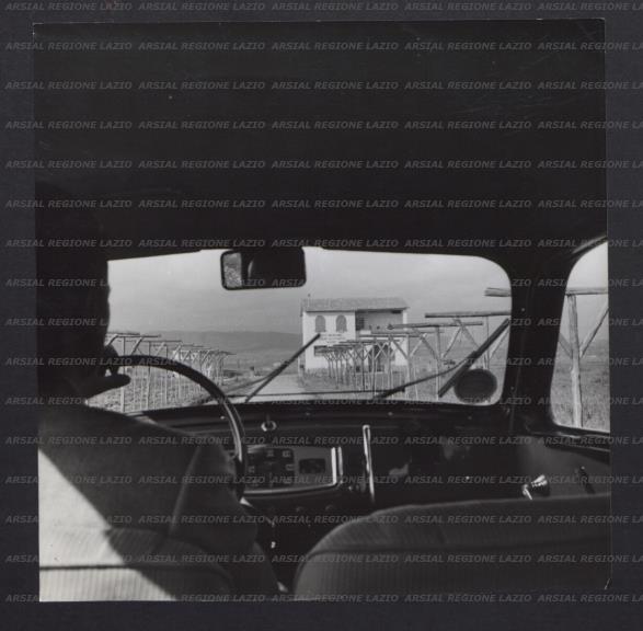ARSIAL/ARS001769D7.jpg