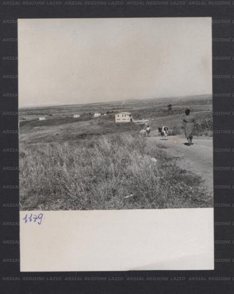ARSIAL/ARS001769E2.jpg
