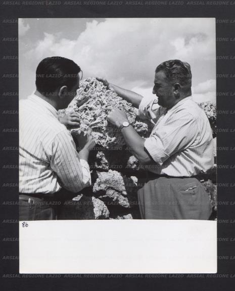 ARSIAL/ARS00176A6A.jpg