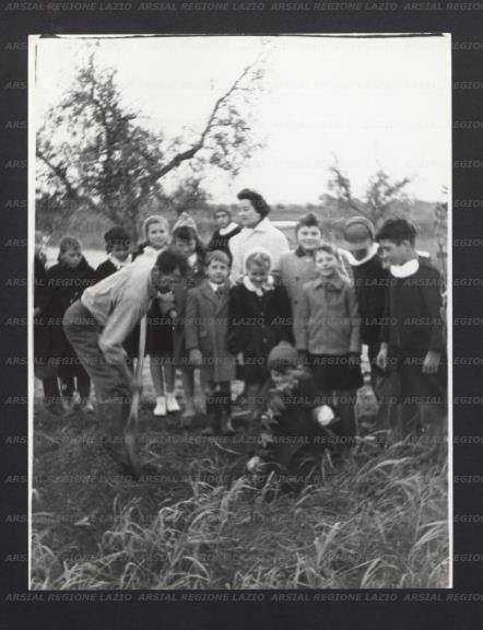 ARSIAL/ARS00176A98.jpg