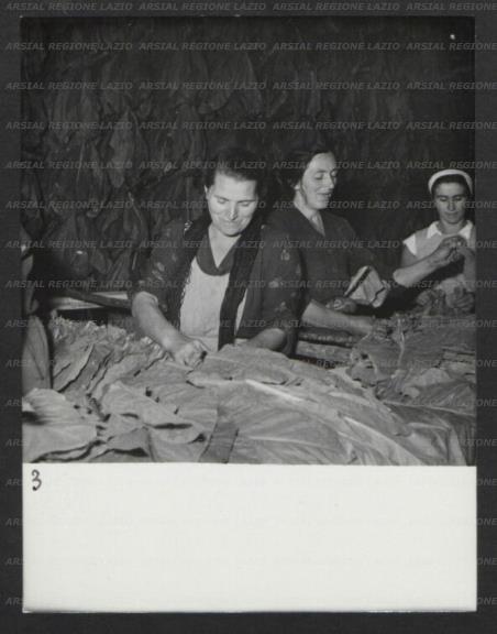 ARSIAL/ARS00176AB4.jpg