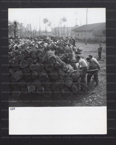 ARSIAL/ARS00176B26.jpg