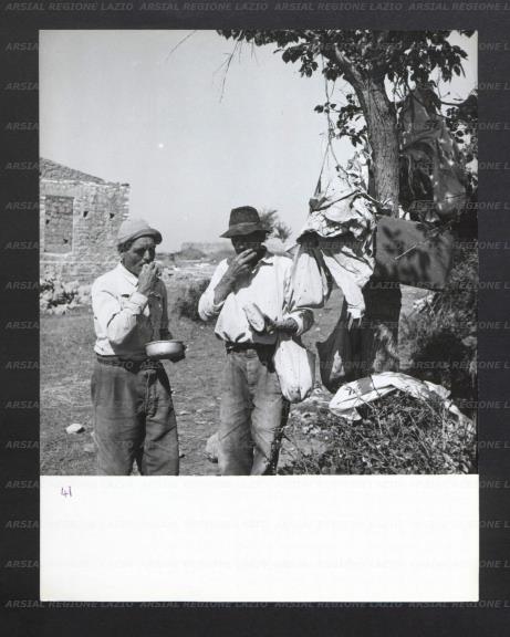 ARSIAL/ARS00176B2C.jpg