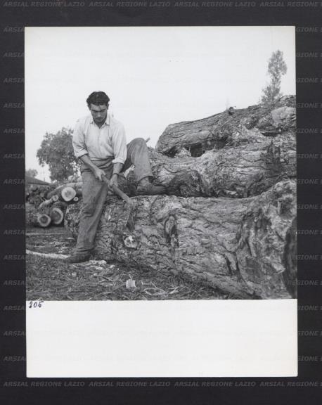 ARSIAL/ARS00176B2D.jpg