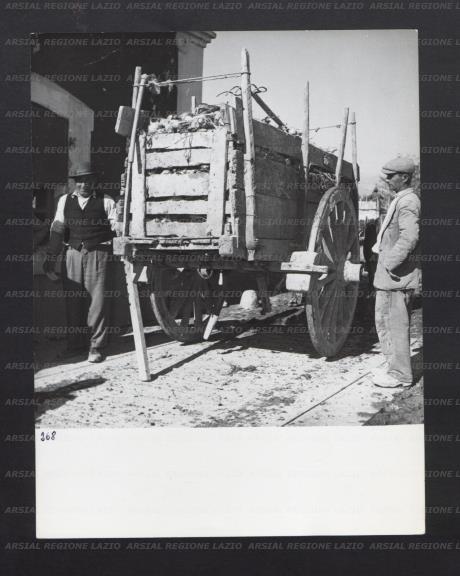 ARSIAL/ARS00176B31.jpg