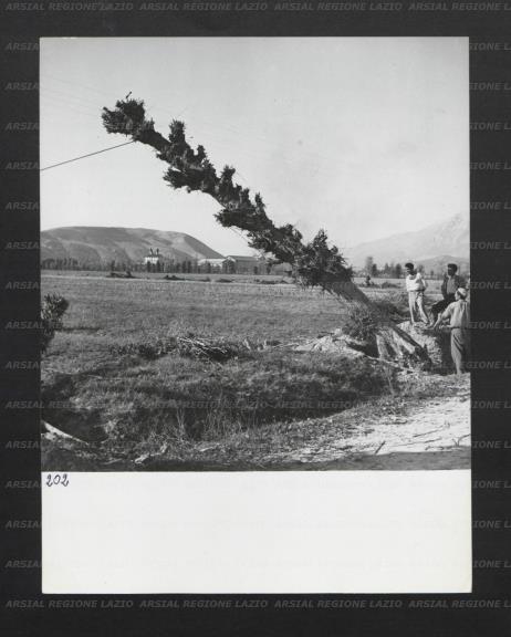 ARSIAL/ARS00176B3A.jpg