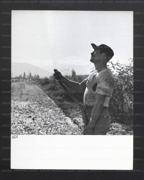 ARSIAL/ARS00176B3E.jpg