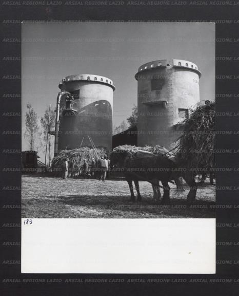 ARSIAL/ARS00176B3F.jpg