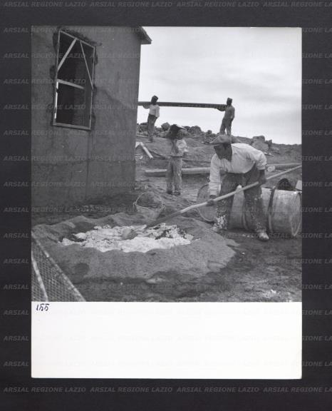 ARSIAL/ARS00176B40.jpg