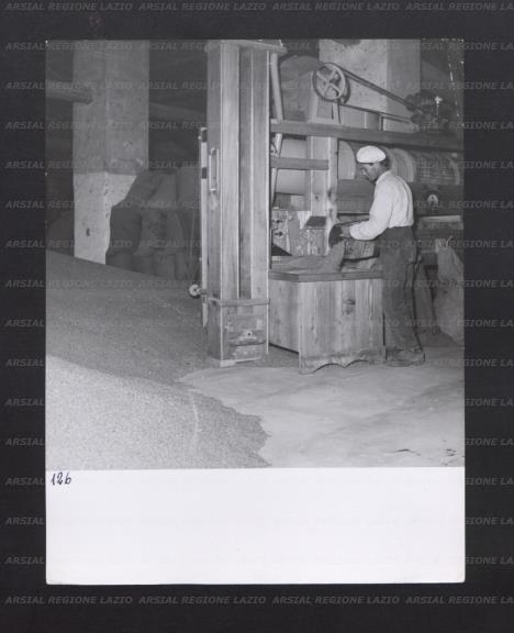 ARSIAL/ARS00176B47.jpg