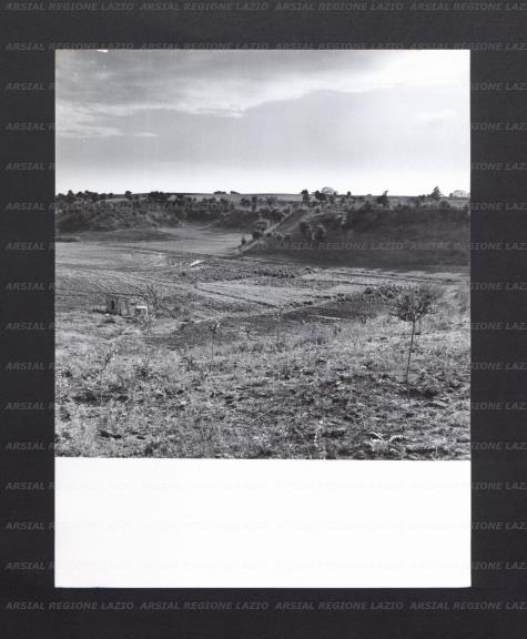 ARSIAL/ARS00176B59.jpg