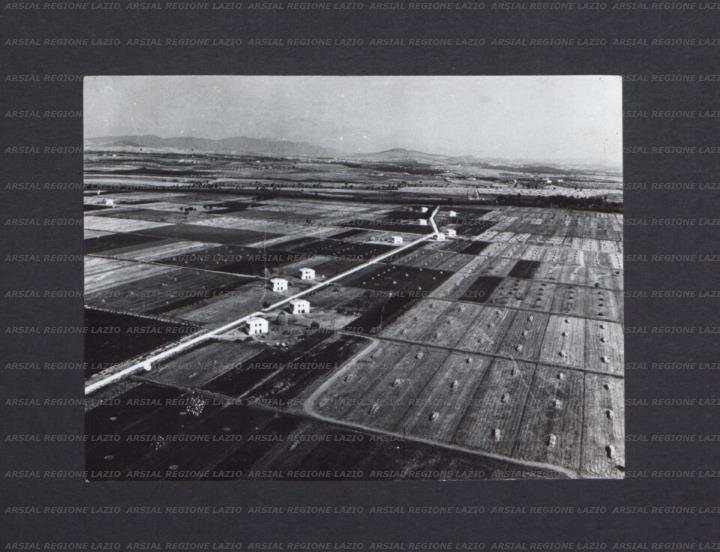 ARSIAL/ARS00176D87.jpg